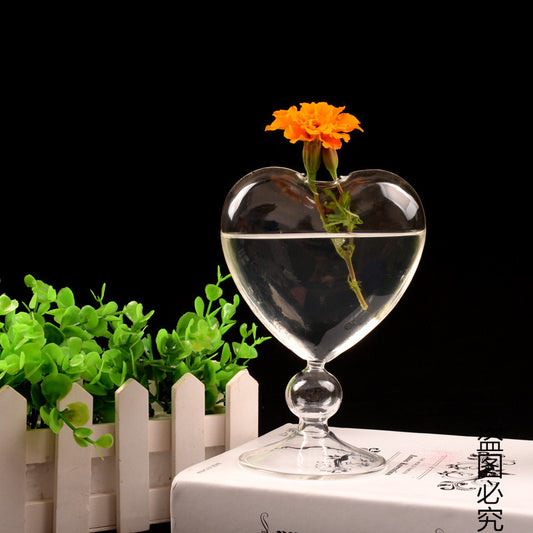 Transparent Hydroponic Flower Device for Home Decoration